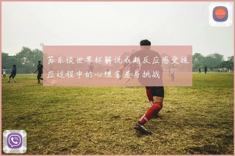 苏东谈世界杯解说戒断反应感受适应过程中的心理落差与挑战