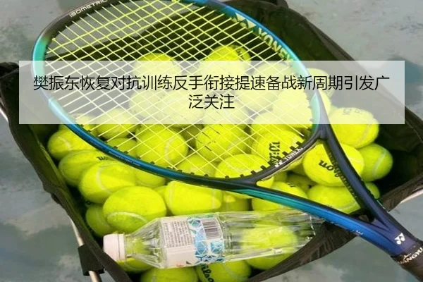 樊振东恢复对抗训练反手衔接提速备战新周期引发广泛关注